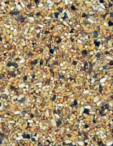 Корм MDM DRO - ДІЄТА РЕГЕНЕРАЦІЙНО-ОЧИЩАЁНЦА — Toppigeons