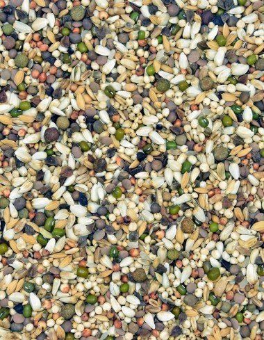 Корм MDM DB - ДІЄТА — Toppigeons