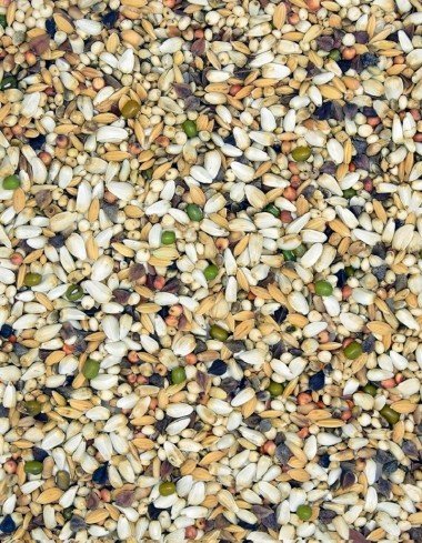 Корм MDM DS - ДІЄТА СПЕЦЬЯЛЬ — Toppigeons