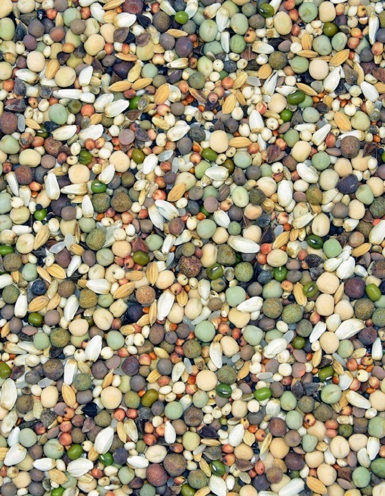 Корм MDM JM - МЛАДШИЙ ОДХОВОВА фото 1 — Toppigeons