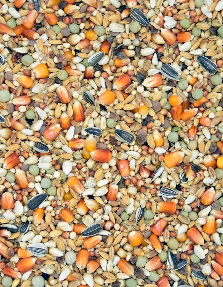 Корм MDM JLD- МЛАДШИЙ ЛЁТОВА фото 1 — Toppigeons