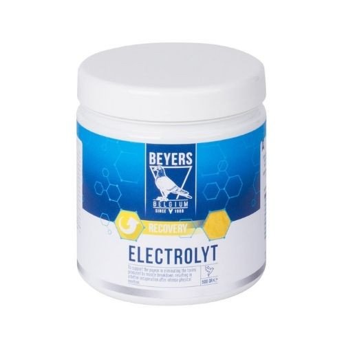 BEYERS ELEKTROLIT 500g. фото 1 — Toppigeons