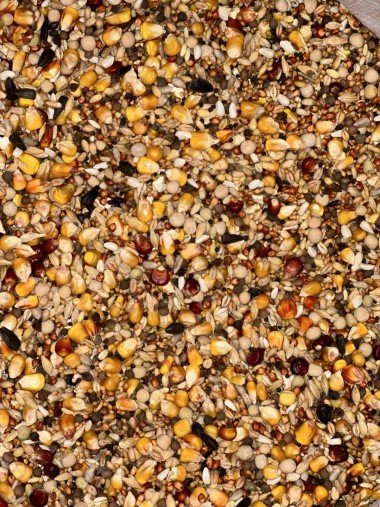 Корм для голубів універсальний/ FOUR SEASONS/ 25 kg. — Toppigeons