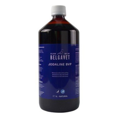 Belgavet Jodaline BVP — Toppigeons