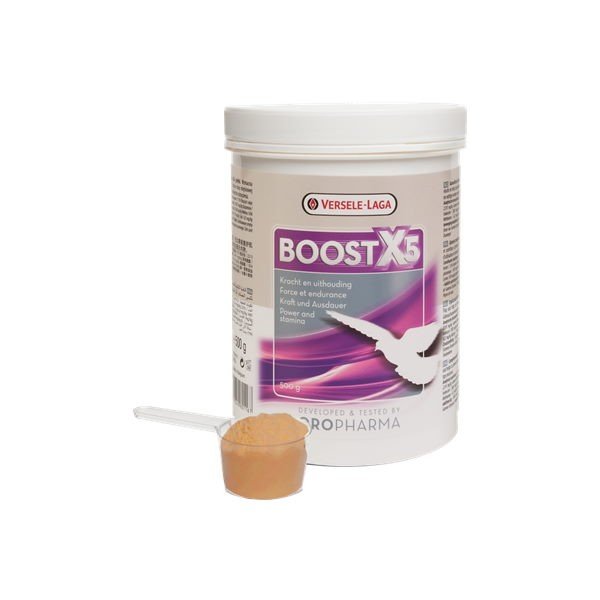 VERSELE-LAGA - Boost X5 - 500г (повышает физическую выносливость) фото 1 — Toppigeons