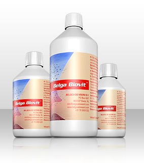 Belgica de Weerd - Belga Biovit - 1л. — Toppigeons