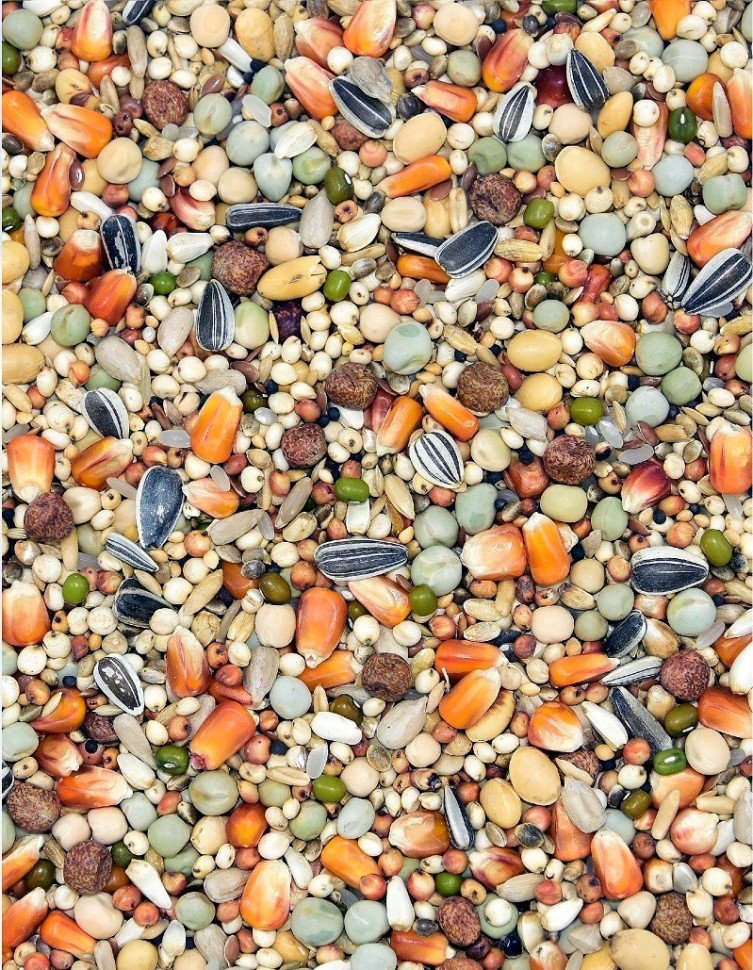 Корм MDM MH - УСТОЙЧИВОЕ РАЗМНОЖЕНИЕ ДЛЯ ПОЛЕТНОЙ КОМАНДЫ фото 1 — Toppigeons