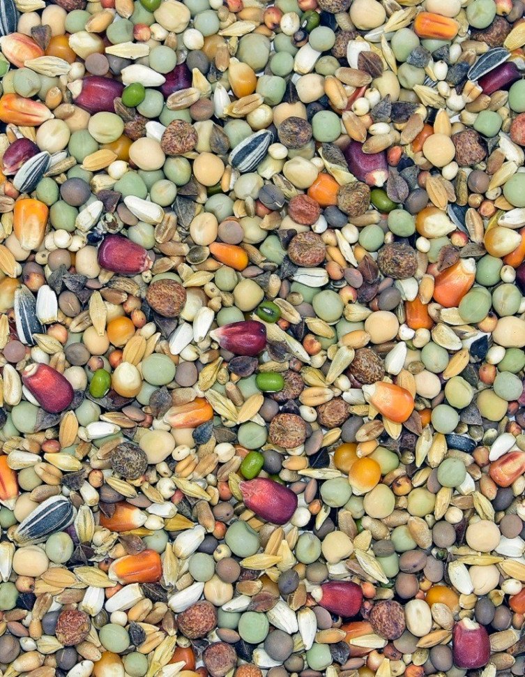 Корм MDM RW - ВЫРАЩИВАНИЕ ВЫСОКОГО БЕЛКА фото 1 — Toppigeons