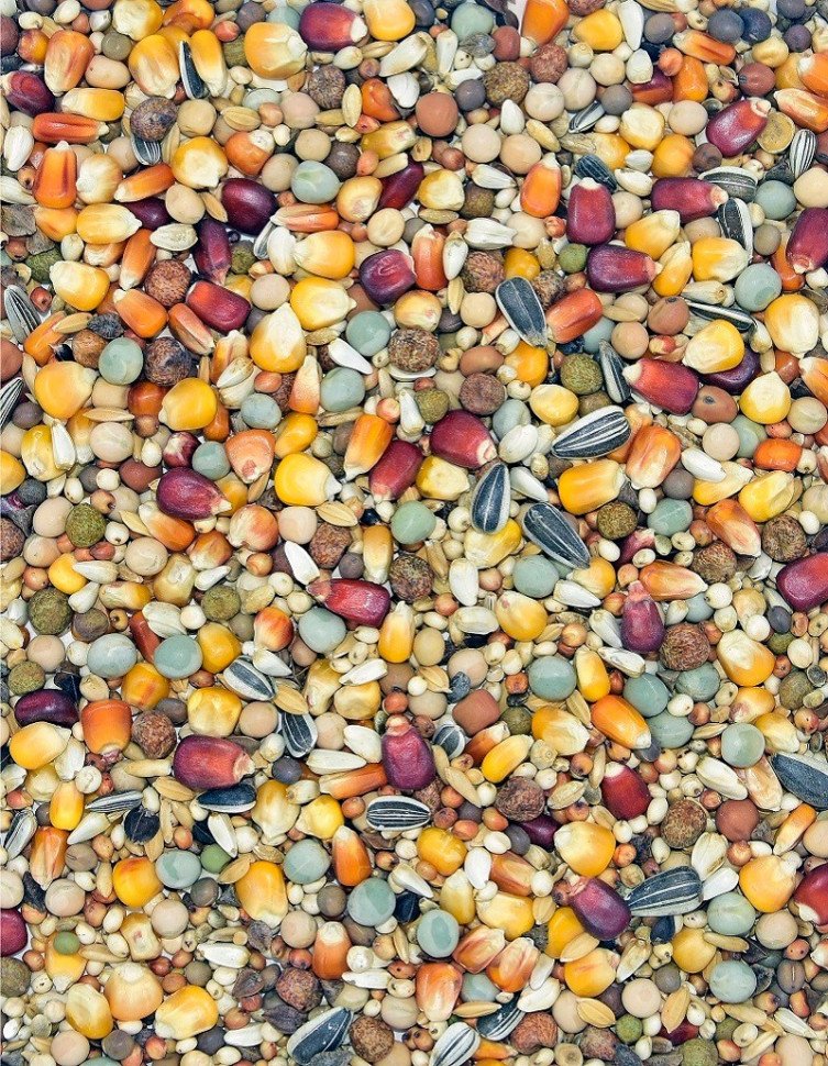 Корм MDM RL- РОЗПЛОДОВО-ЛЁТОВА С КРАСНУЮ КУКУРУЗОЙ И ЭКСТРА ВКУСНУЮ КУКУРУЗОЙ БОРДО БЕЗ ПШЕНИЦЫ фото 1 — Toppigeons