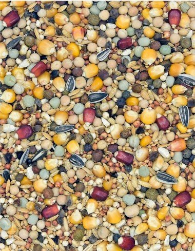 Корм MDM UE-BP - УНИВЕРСАЛЬНЫЙ ЭУРОМИКС БЕЗ ПШЕНИЦЫ — Toppigeons