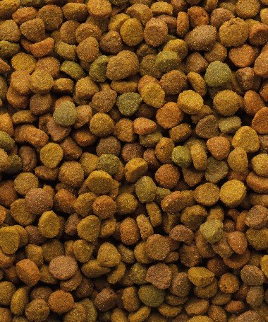 Корм Versele Laga Classic Cat Variety для кішок 4 кг. — Toppigeons