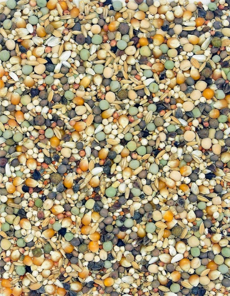 Корм MDM К - ДЛЯ КРУТКОДЗЁБУВ БЕЗ ПШЕНИЦІ фото 1 &mdash; Toppigeons