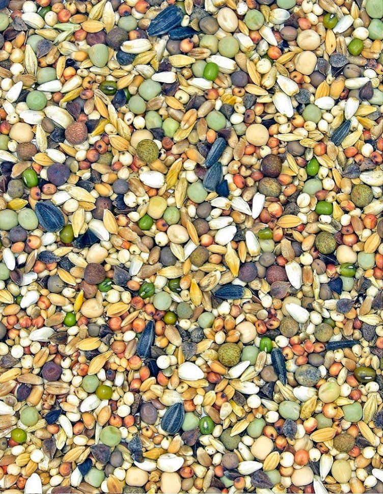 Корм MDM DO - ДЕКОРАТИВНІ ГОЛУБИ фото 1 — Toppigeons