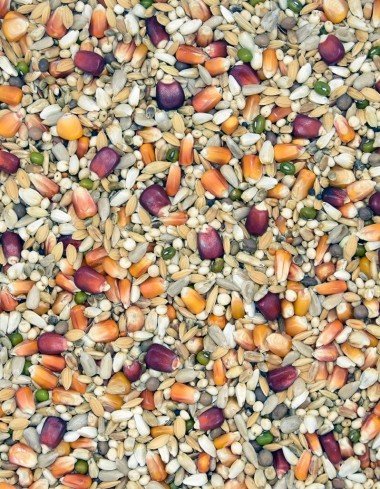 Корм MDM TK - ВАРИ ФОРМА — Toppigeons