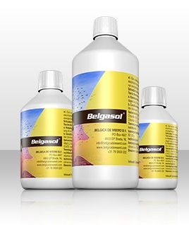 Belgica de Weerd - Belgasol 250мл. — Toppigeons