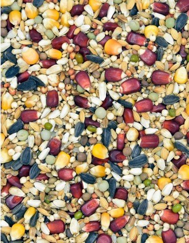 Корм MDM LTM - ЛЁТОВА ТУРБО МАСТЕРОВ — Toppigeons