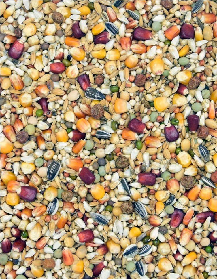 Корм MDM LWP - ЛЁТОВА ДЛЯ ВДОВЦОВ ЭКСТРА ПОВЭР фото 1 — Toppigeons