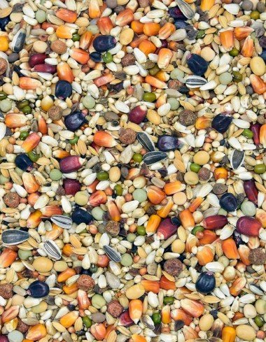 Корм MDM LSM - ЛЁТОВА класно Марафонец — Toppigeons