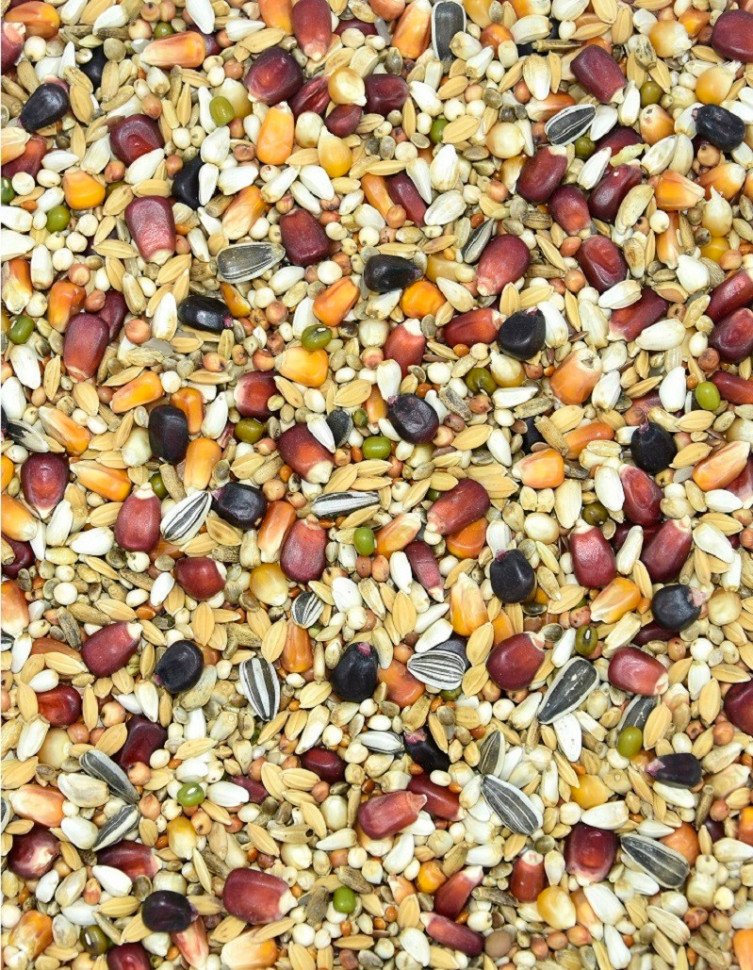 Корм MDM LF F16 - ЛЁТОВА Ф16 фото 1 — Toppigeons